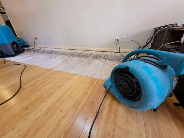 Professional Flood Damage Cleanup technician working in Benton City, MO
